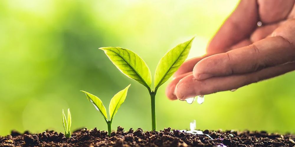 11. Growing in Christ